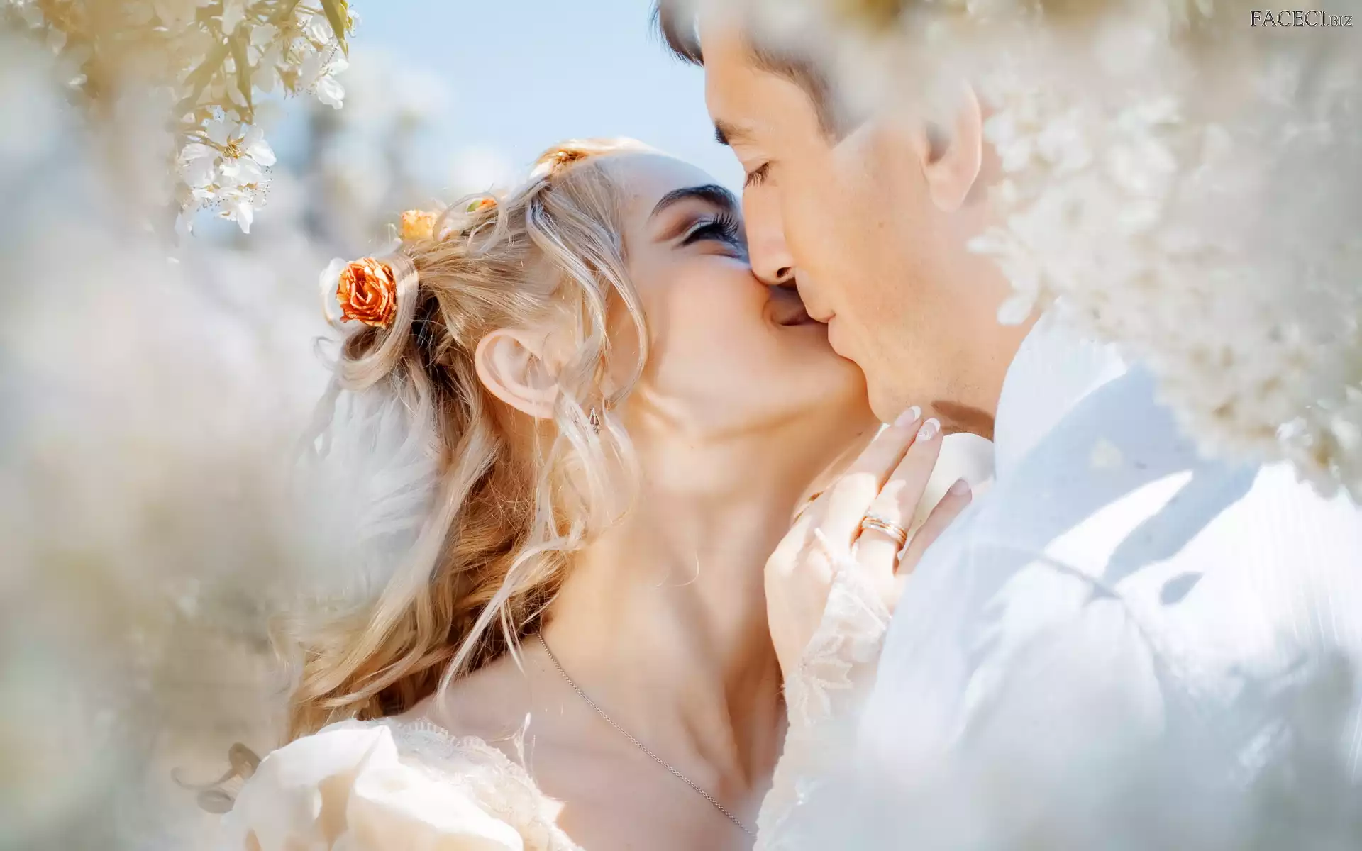 Gałęzie, Kwitnące, Ślub, Nowożeńcy, Pocałunek