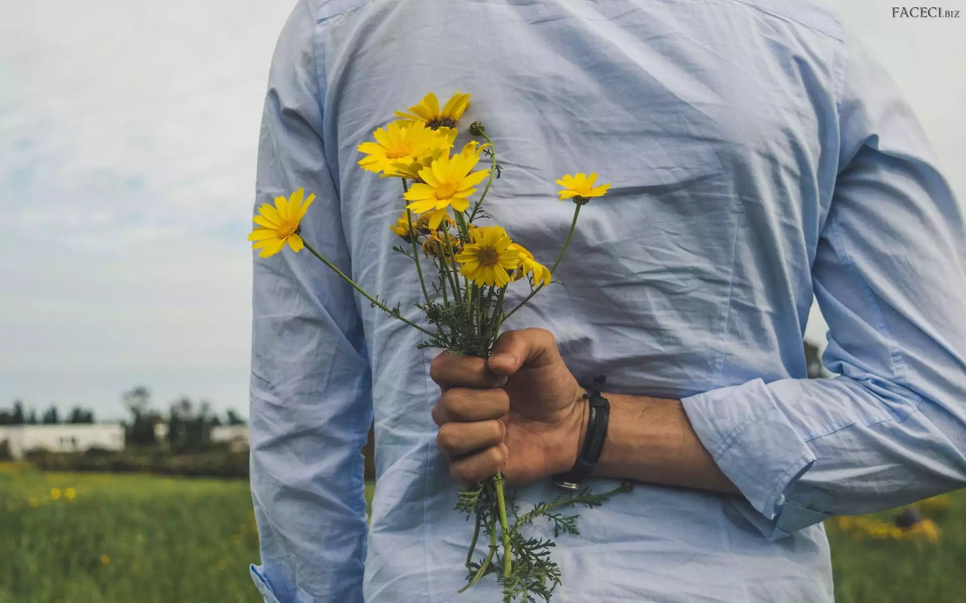 Kwiaty, Mężczyzna, Polne