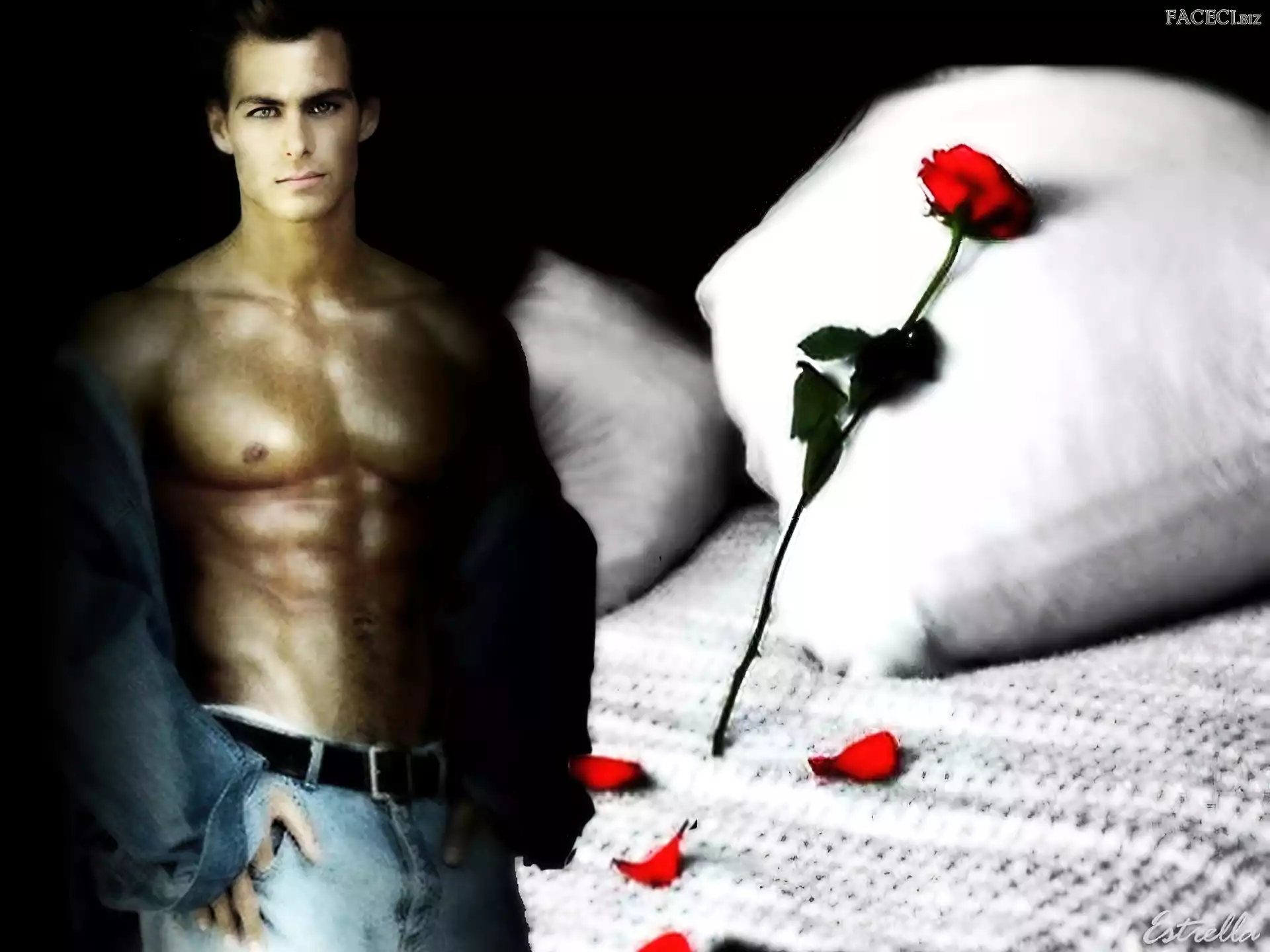 Poduszka, Płatki, Mężczyzna, Róża