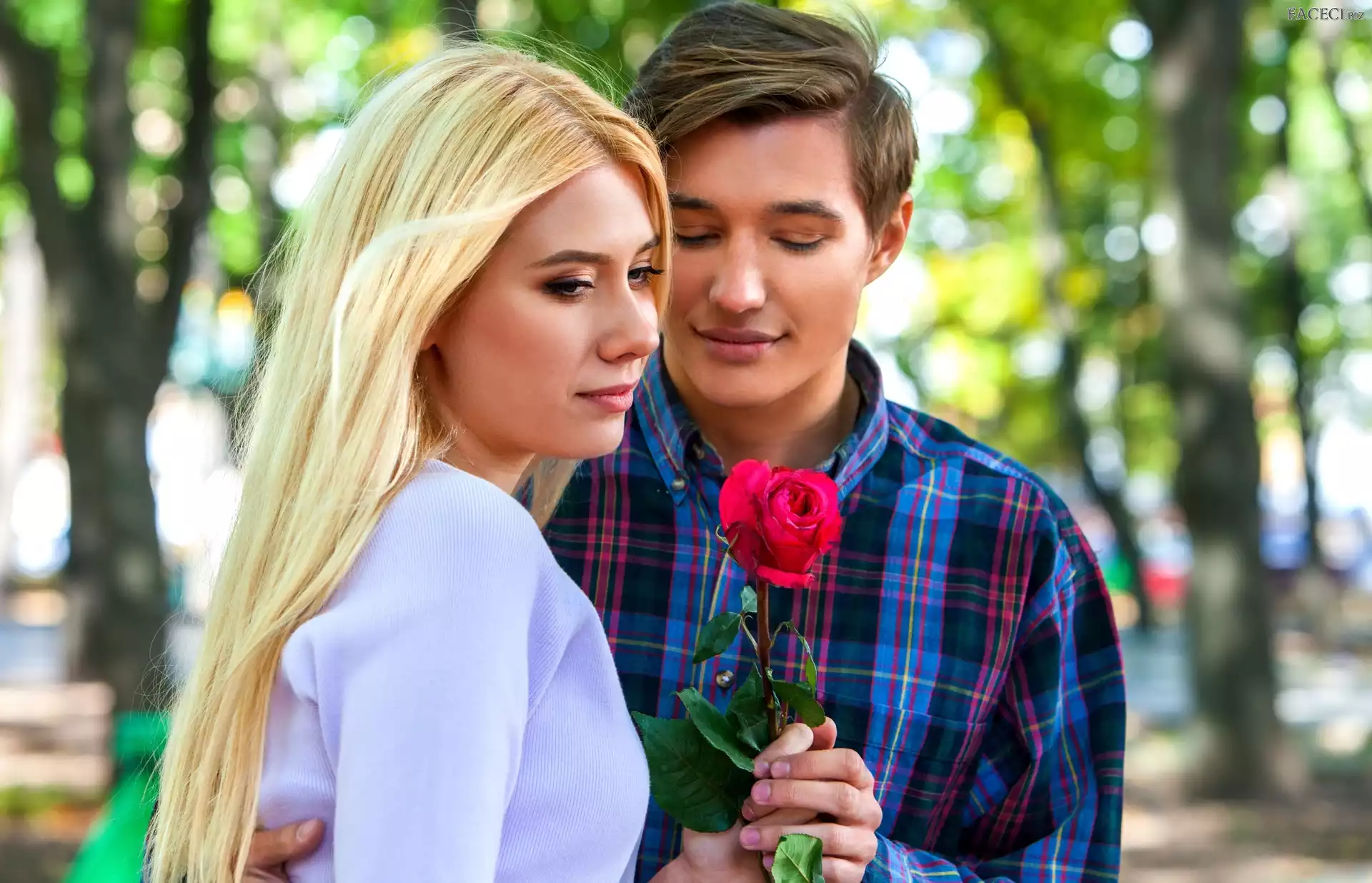 Róża, Zakochani, Mężczyzna, Kobieta, Para